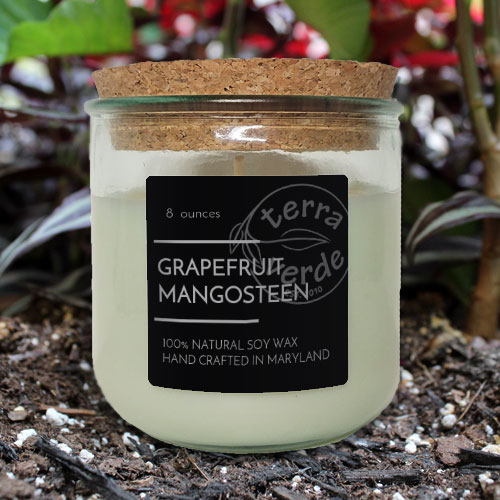 32 OZ Mason Jar Soy Candle - Grapefruit Mangosteen - Terra Verde Soy